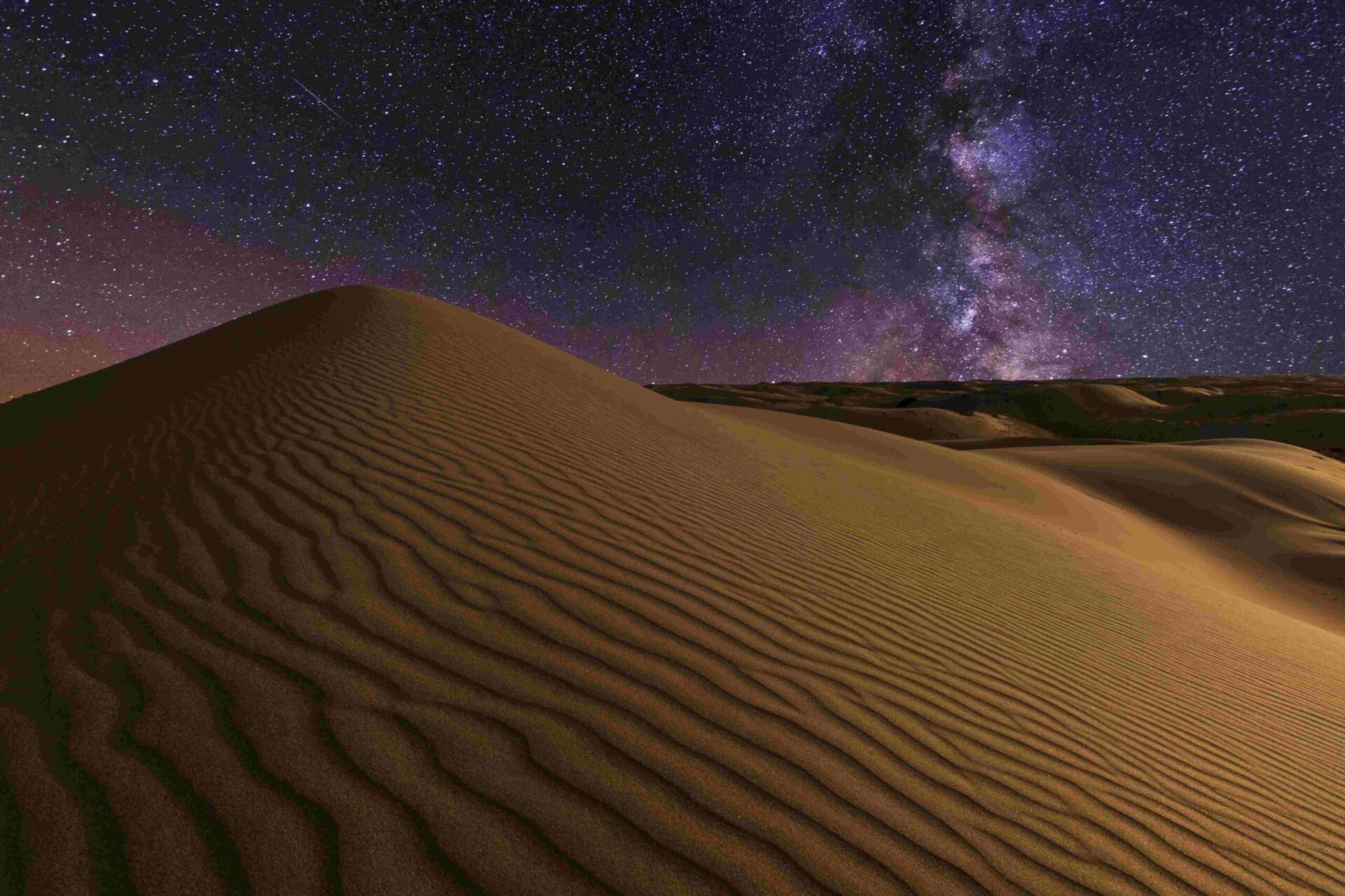 Sand and Stars Dining Safari